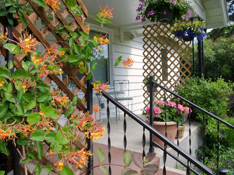 Slant Street Bungalow